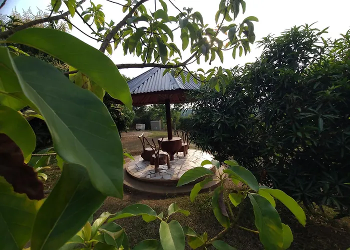 Orchard Home Homestay