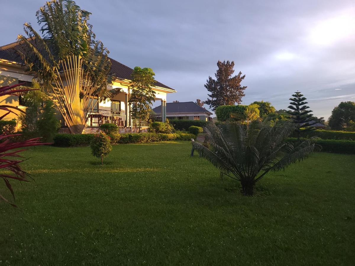 Orchard * Mbarara